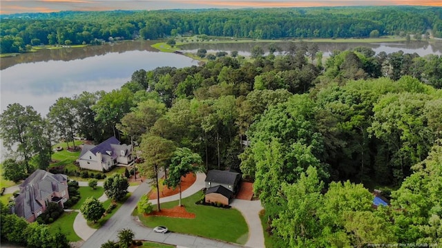 225 Lakeview Dr, Sanford, NC 27332 - bird's eye view of a nearby body of water and a heavily wooded area
