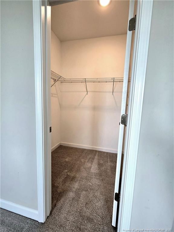 338 E David Parnell St, Parkton, NC 28371 - spacious closet featuring carpet floors