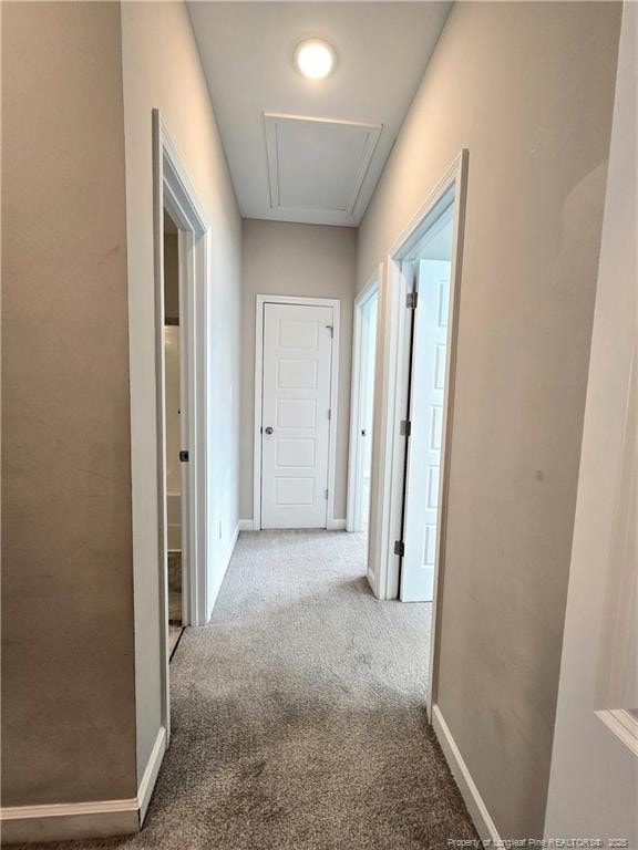 338 E David Parnell St, Parkton, NC 28371 - hall featuring carpet flooring and attic access