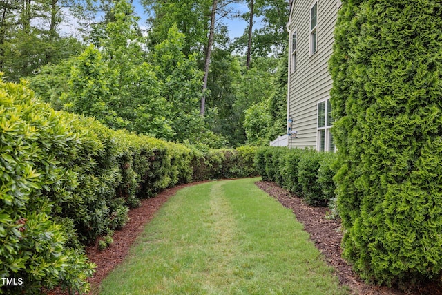 view of green lawn