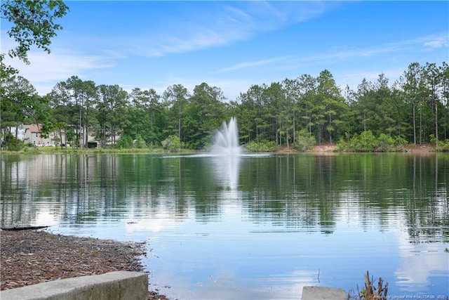 water view