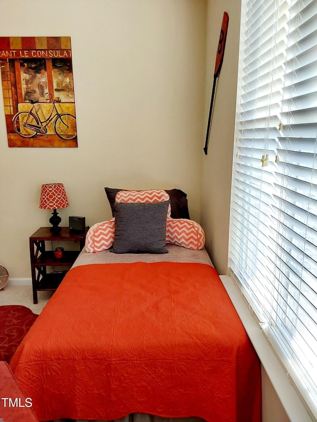 bedroom with carpet