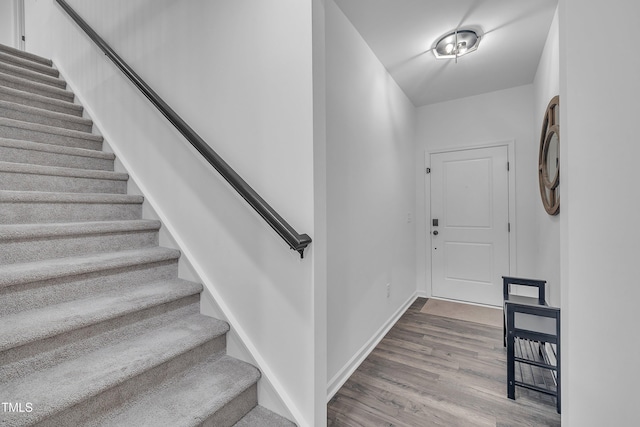 81 Paperwhite Pl Unit 213, Clayton, NC 27527 - photo 4