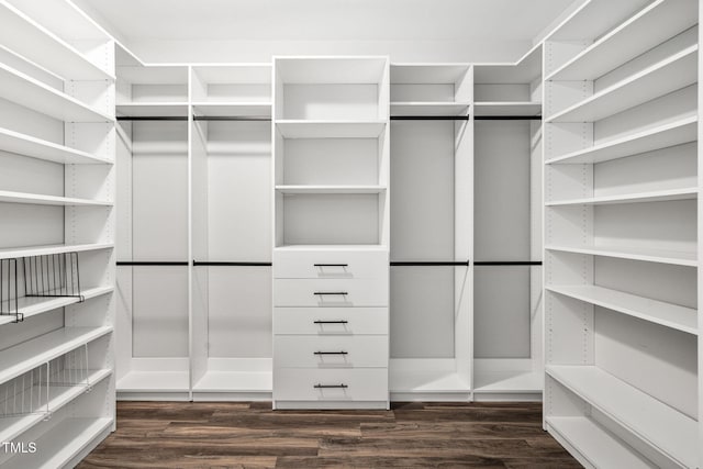 spacious closet featuring dark wood-style floors