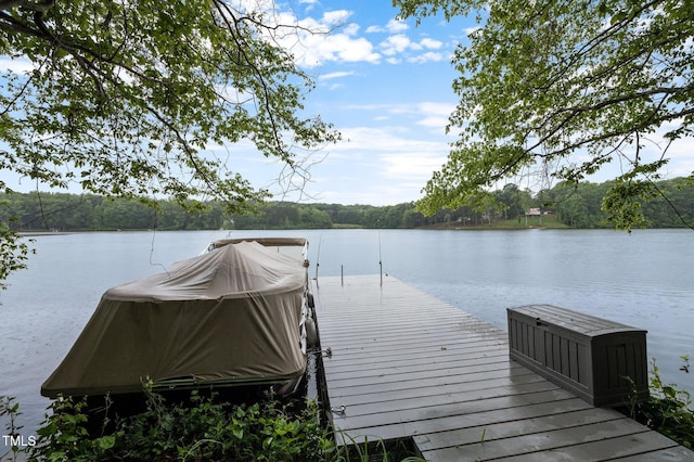 249 Fisherman Point Rd, Roxboro, NC 27574 - dock featuring a water view