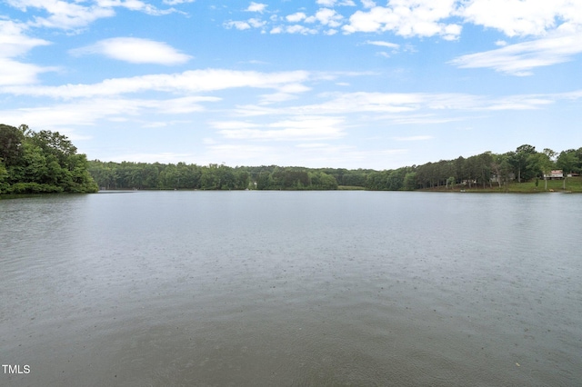 249 Fisherman Point Rd, Roxboro, NC 27574 - water view with a heavily wooded area