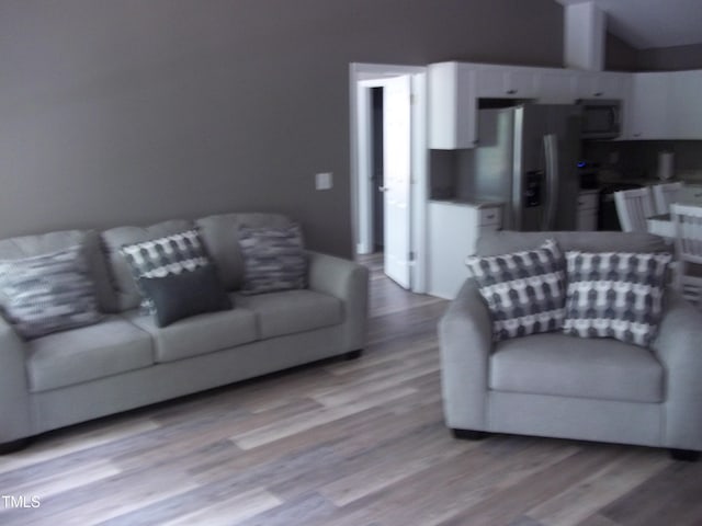 249 Fisherman Point Rd, Roxboro, NC 27574 - living area with light wood-type flooring and lofted ceiling