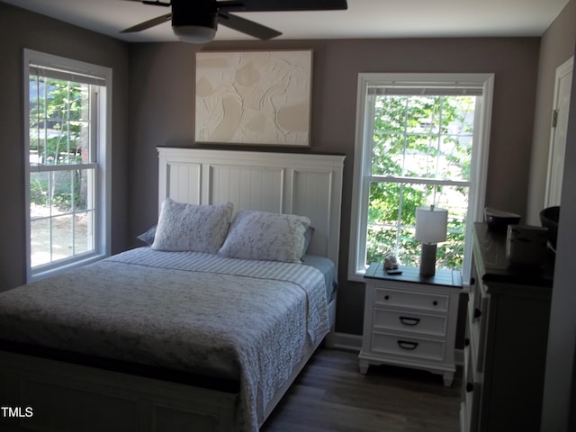 249 Fisherman Point Rd, Roxboro, NC 27574 - bedroom with dark wood finished floors, multiple windows, and a ceiling fan