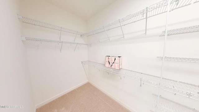 spacious closet with light carpet