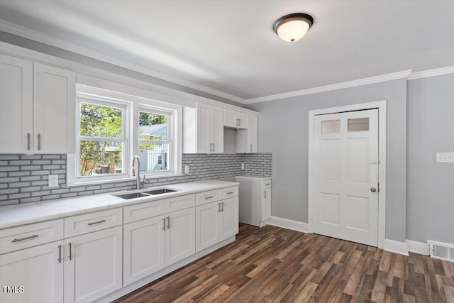 134 Nelson St, Durham, NC 27707 - kitchen featuring a sink, decorative backsplash, white cabinets, crown molding, and dark wood-type flooring