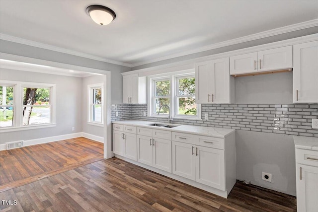 134 Nelson St, Durham, NC 27707 - kitchen with a sink, dark wood-style flooring, tasteful backsplash, healthy amount of natural light, and ornamental molding