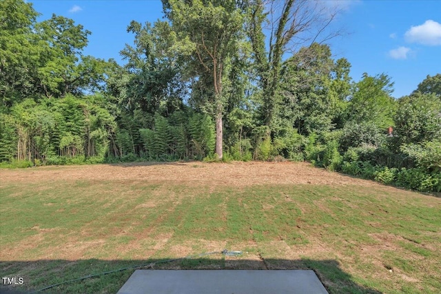 110 Hays St, Oxford, NC 27565 - view of grassy yard with a view of trees