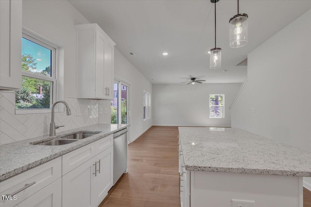 110 Hays St, Oxford, NC 27565 - kitchen featuring dishwasher, tasteful backsplash, plenty of natural light, light wood-type flooring, and recessed lighting