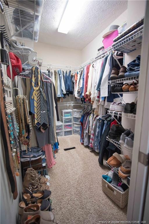 3119 Metthame Dr, Fayetteville, NC 28306 - walk in closet featuring carpet