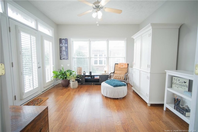3119 Metthame Dr, Fayetteville, NC 28306 - sitting room with plenty of natural light, light wood finished floors, and ceiling fan