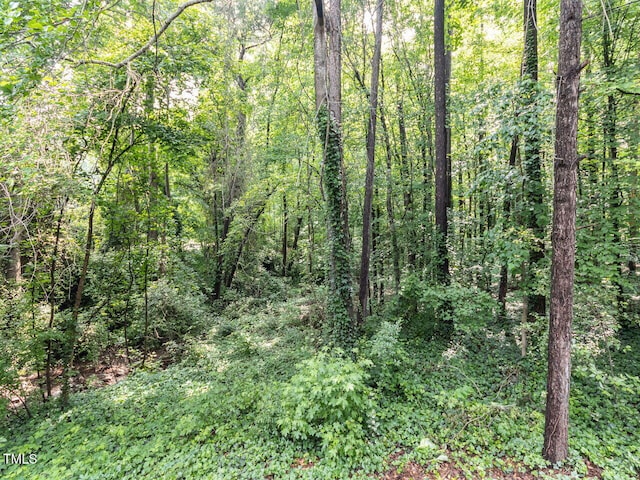 view of woods