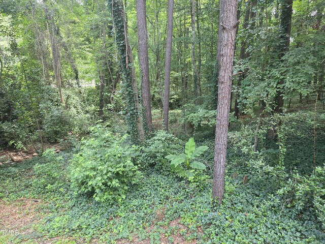 4206 Camden Woods Ct, Raleigh, NC 27612 - photo 32