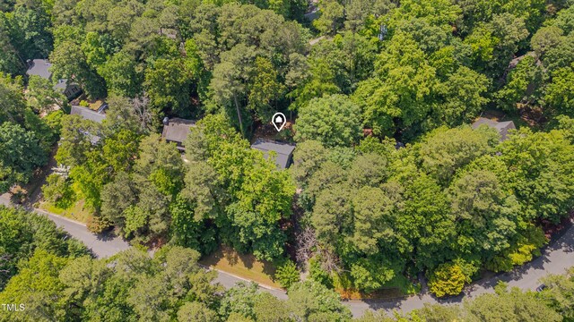 207 Old Forest Creek Dr, Chapel Hill, NC 27514 - photo 47