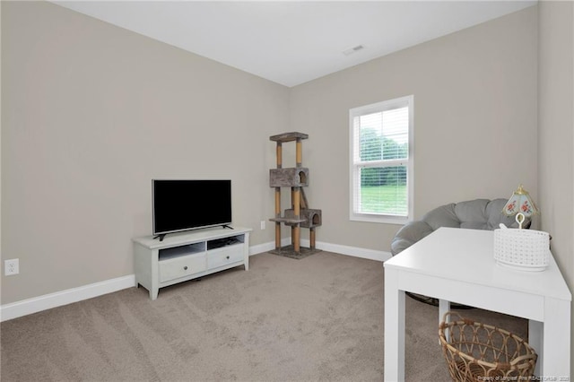 5831 James Allen Ln, Stedman, NC 28391 - living room featuring light carpet and baseboards