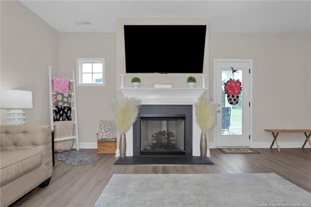 5831 James Allen Ln, Stedman, NC 28391 - living area featuring wood finished floors, baseboards, and a fireplace with flush hearth