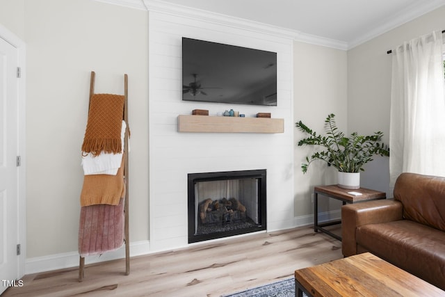 220 Purslane Dr, Franklinton, NC 27525 - living area with wood finished floors, ornamental molding, ceiling fan, a large fireplace, and baseboards