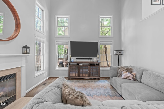 208 Silk Hope Dr, Cary, NC 27519 - living area with a towering ceiling, a high end fireplace, and wood finished floors