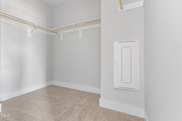walk in closet with carpet floors