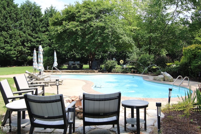 outdoor pool featuring a patio area and view of scattered trees