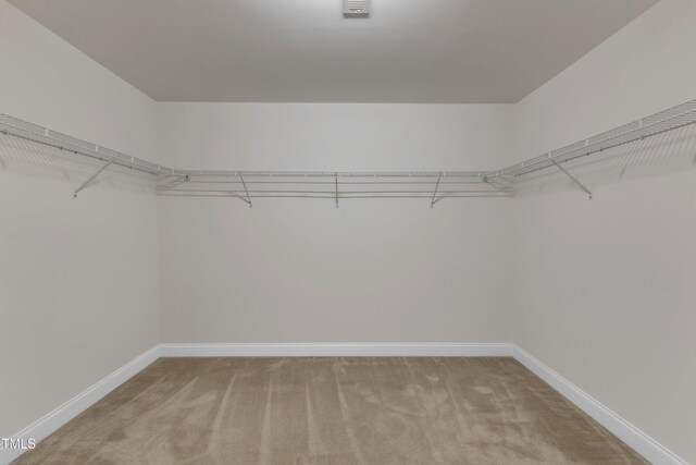 spacious closet with light colored carpet
