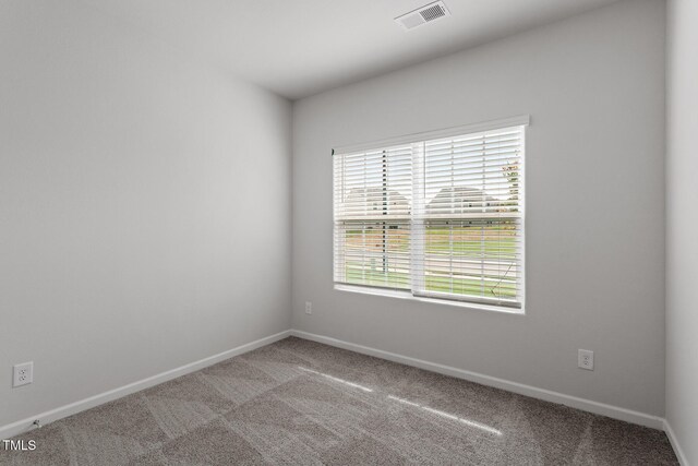 910 Rhino Bnd, Oxford, NC 27565 - photo 13