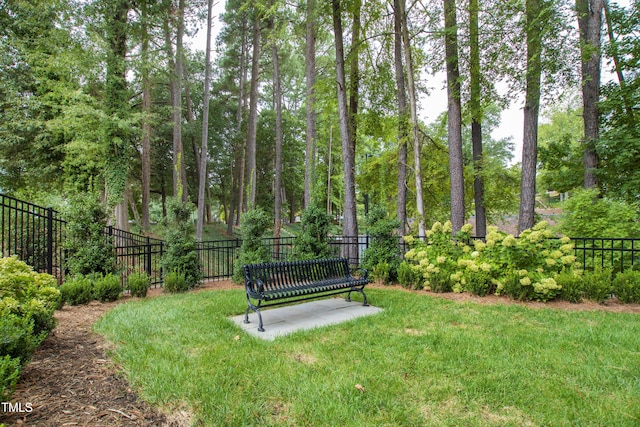 620 Wade Ave Unit 505, Raleigh, NC 27605 - view of yard