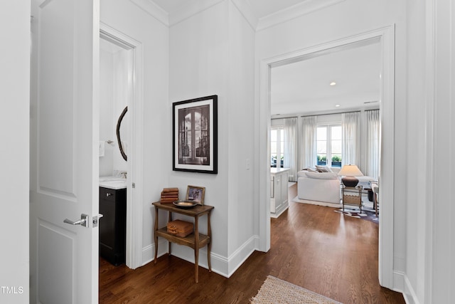 620 Wade Ave Unit 505, Raleigh, NC 27605 - hallway with dark wood-style floors, ornamental molding, baseboards, a sink, and recessed lighting