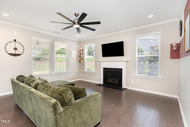 4505 Wingate Song Ct, Knightdale, NC 27545 - photo 5