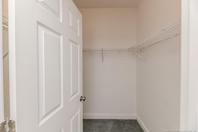 1536 Louisiana Ln, Sanford, NC 27332 - spacious closet with carpet