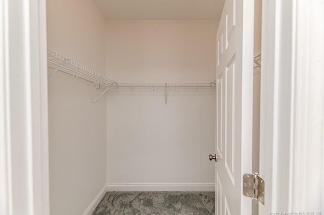 1536 Louisiana Ln, Sanford, NC 27332 - walk in closet with carpet
