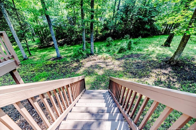 1536 Louisiana Ln, Sanford, NC 27332 - view of yard