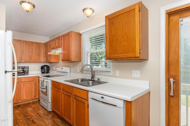 809 Maple Shade Ln, Apex, NC 27502 - kitchen with white appliances, a sink, under cabinet range hood, light countertops, and dark wood finished floors
