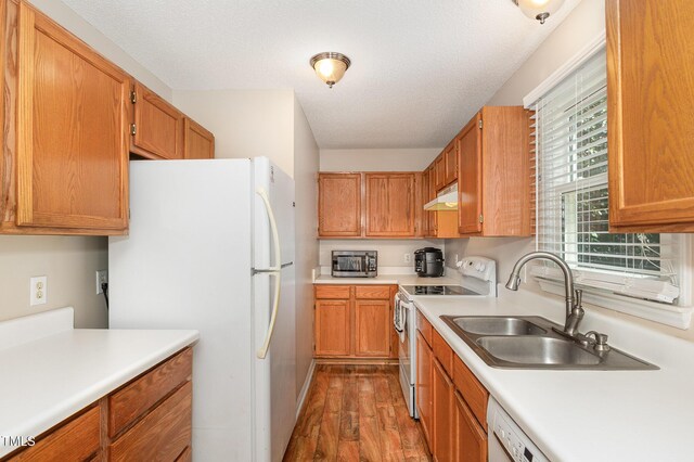 809 Maple Shade Ln, Apex, NC 27502 - kitchen with white appliances, dark wood finished floors, under cabinet range hood, a sink, and light countertops