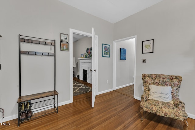 living area featuring wood finished floors, baseboards, and a fireplace