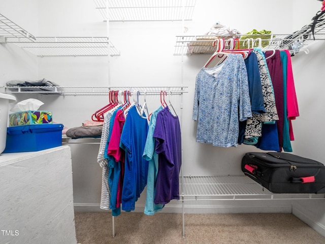 spacious closet with carpet flooring