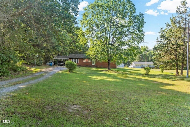 view of green lawn with dirt driveway and a carport