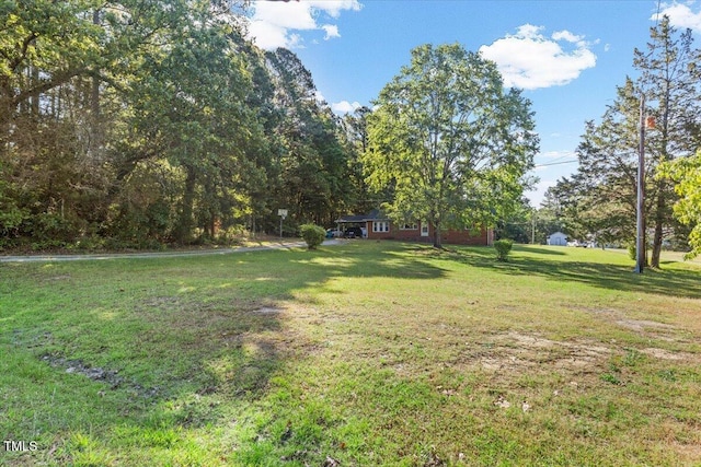 view of green lawn