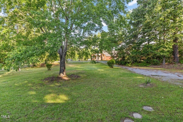 view of green lawn