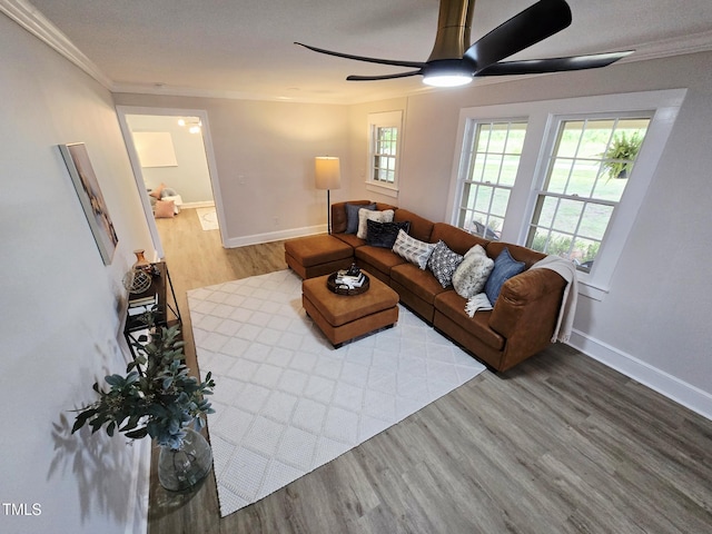 3669 W Greensboro Chapel Hill Rd, Liberty, NC 27298 - living room with wood finished floors, ornamental molding, ceiling fan, and baseboards