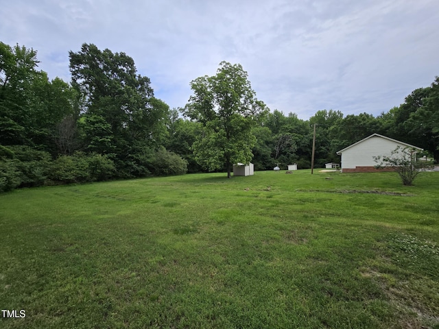 3669 W Greensboro Chapel Hill Rd, Liberty, NC 27298 - view of grassy yard featuring a view of trees