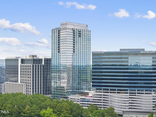 340 Allister Dr Unit 301, Raleigh, NC 27609 - view of city