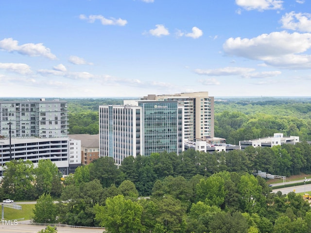 340 Allister Dr Unit 301, Raleigh, NC 27609 - view of urban area featuring a forest