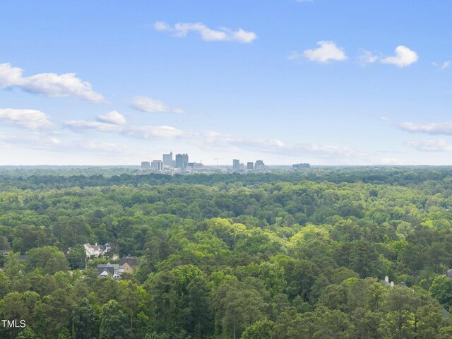 340 Allister Dr Unit 301, Raleigh, NC 27609 - bird's eye view of a forest