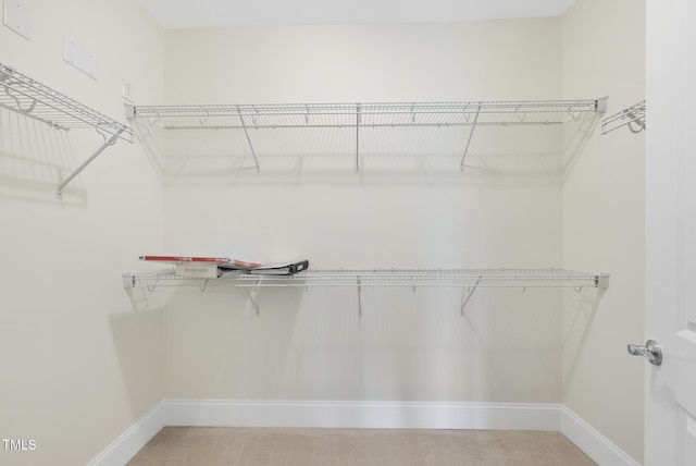 340 Allister Dr Unit 301, Raleigh, NC 27609 - walk in closet with light colored carpet