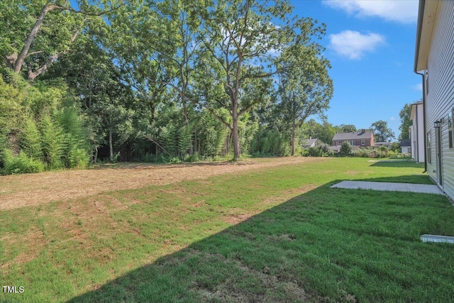 114 Hays St, Oxford, NC 27565 - view of green lawn
